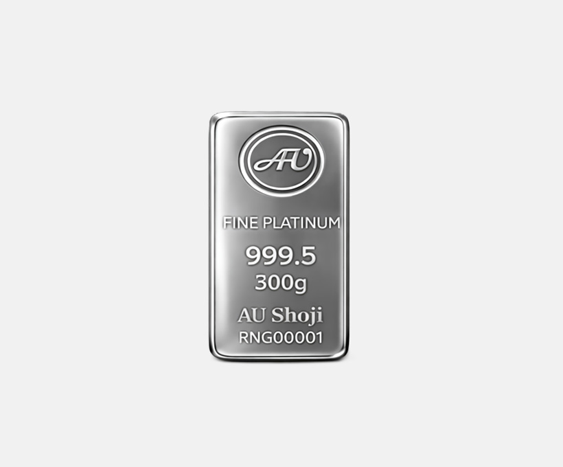 プラチナインゴット300g